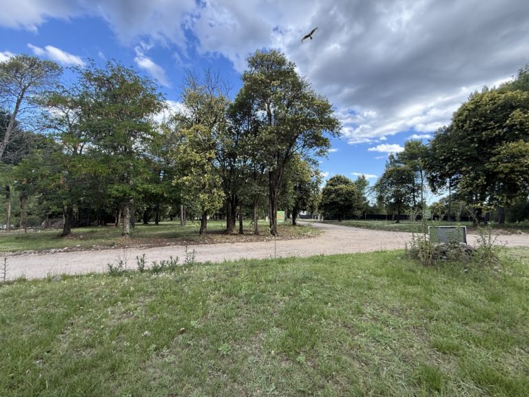 Aires Inmobiliaria - Loteo Los Manantiales - Urbanización Natural - Villa General Belgrano - Valle de Calamuchita - Sierras de Córdoba - 6